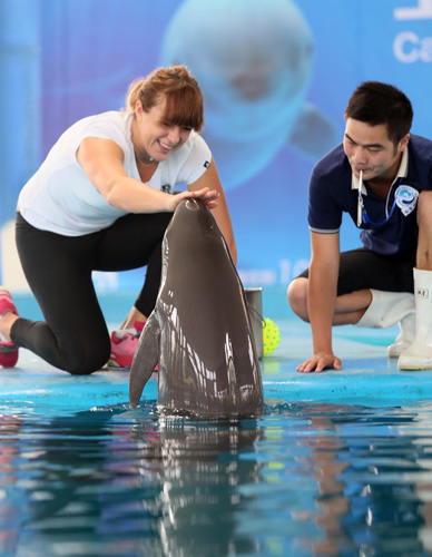 的需求更为 的需求更为